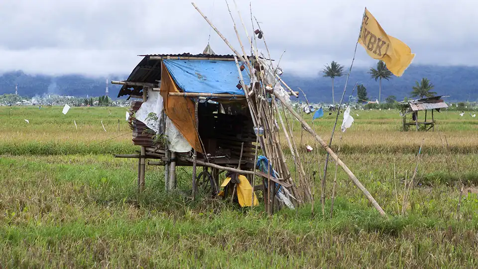 Rice Paddy near Tomonhon, Minahasa, Indonesia