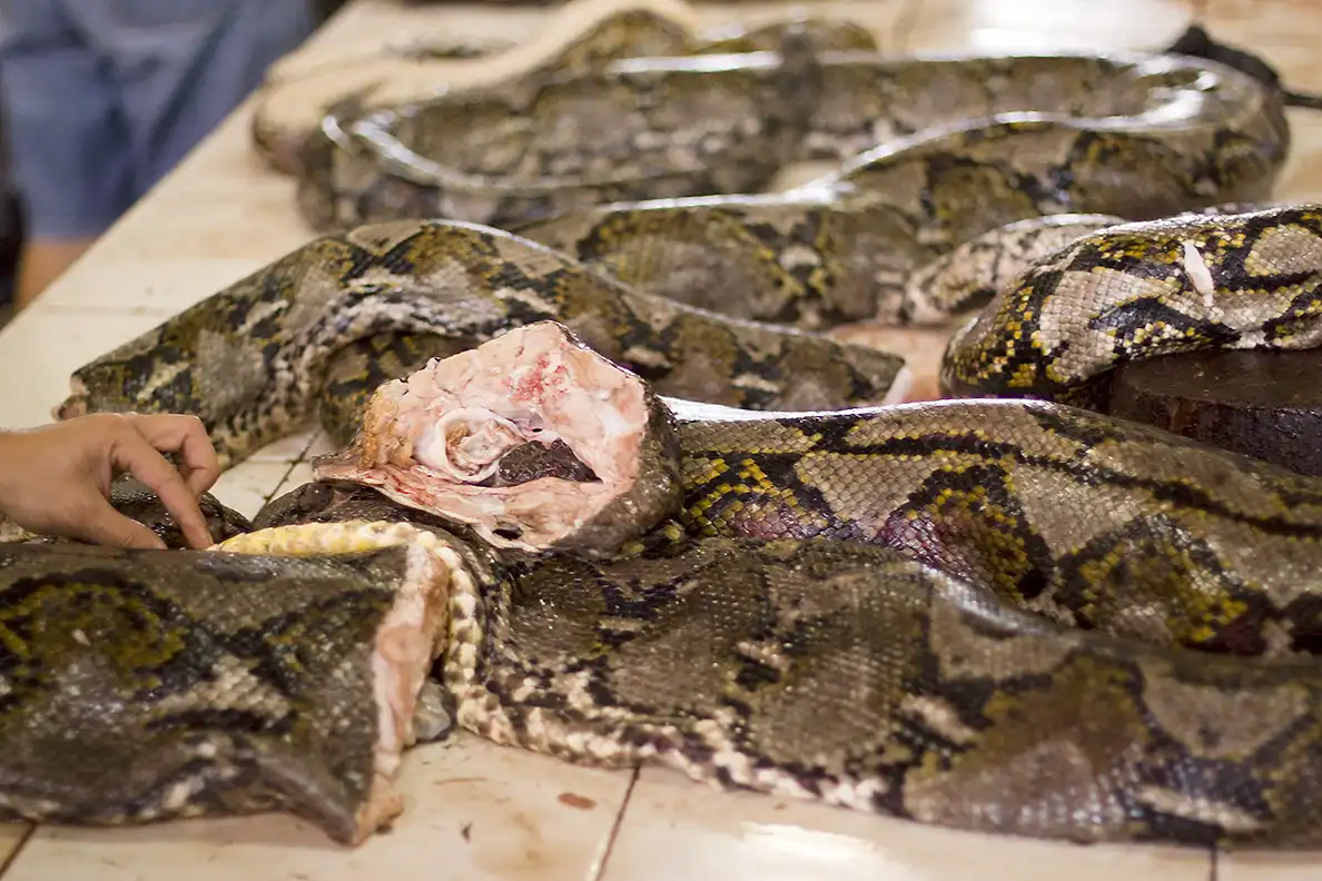 Snake meat for sale at Tomohon Market