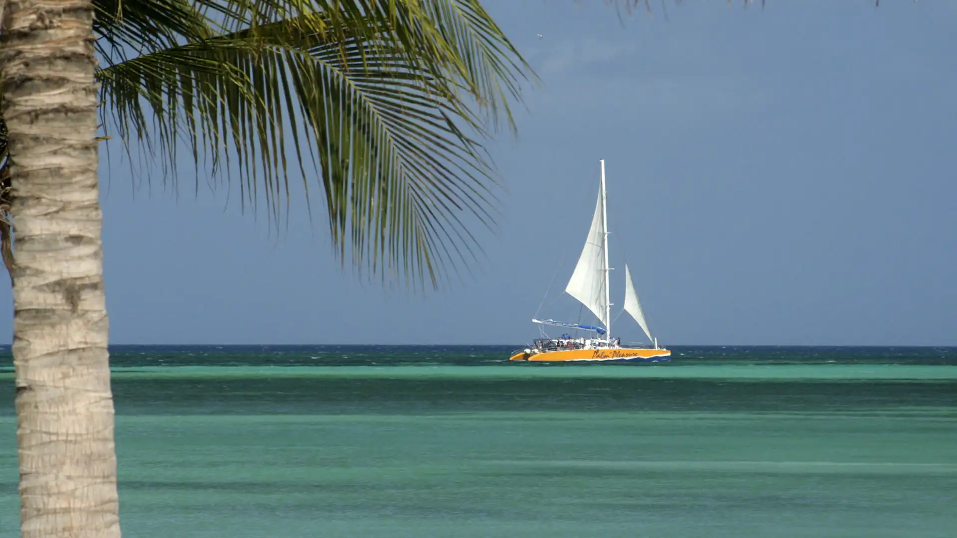 Aruba Catamaran